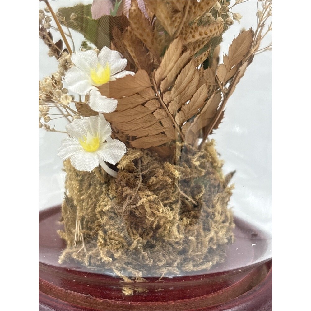 Vintage Taxidermy Butterfly & Flowers Glass Dome￼